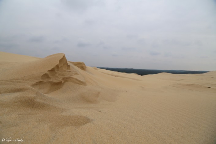 la dune