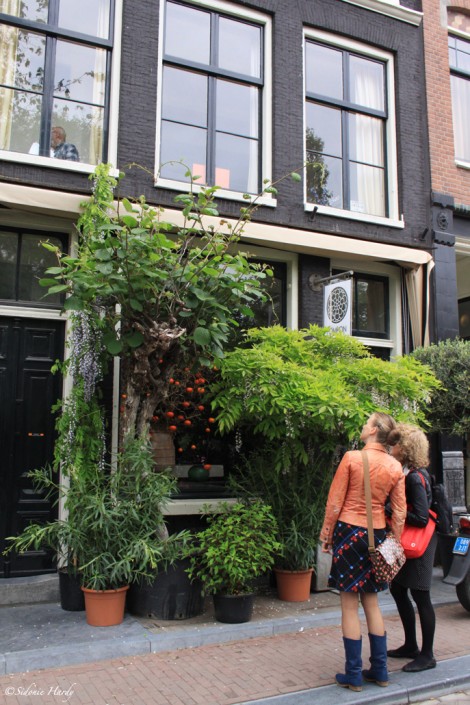 Amsterdam Jardinerie