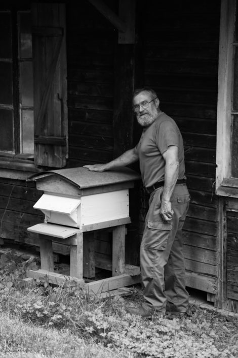 apiculture abeille miel vieille homme hymènoptère